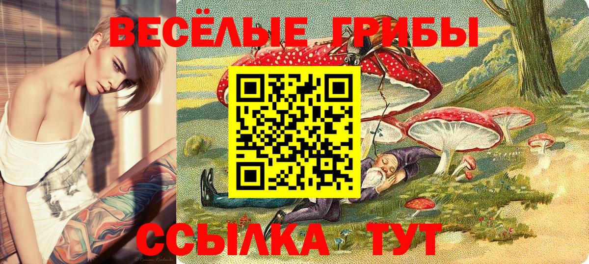 Галлюциногенные грибы GOLDEN TEACHER  Вход с VPN  Нальчик  Псилоцибиновые грибы прущие грибы 