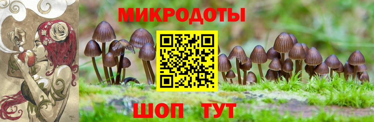 Псилоцибиновые грибы Cubensis Нальчик
